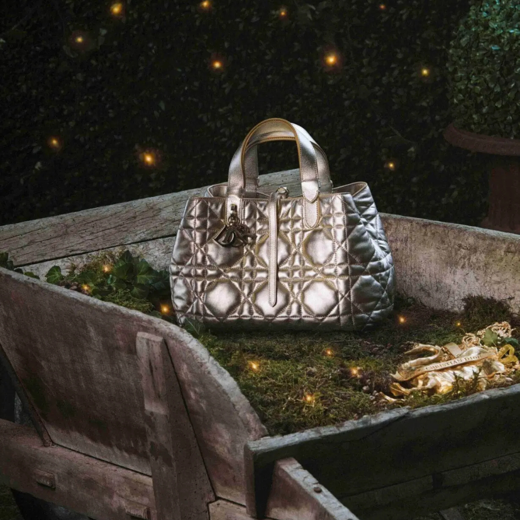 5 Handbags Worth Buying in 2026 — And How to Keep Them Pristine with Hiniso Drybox