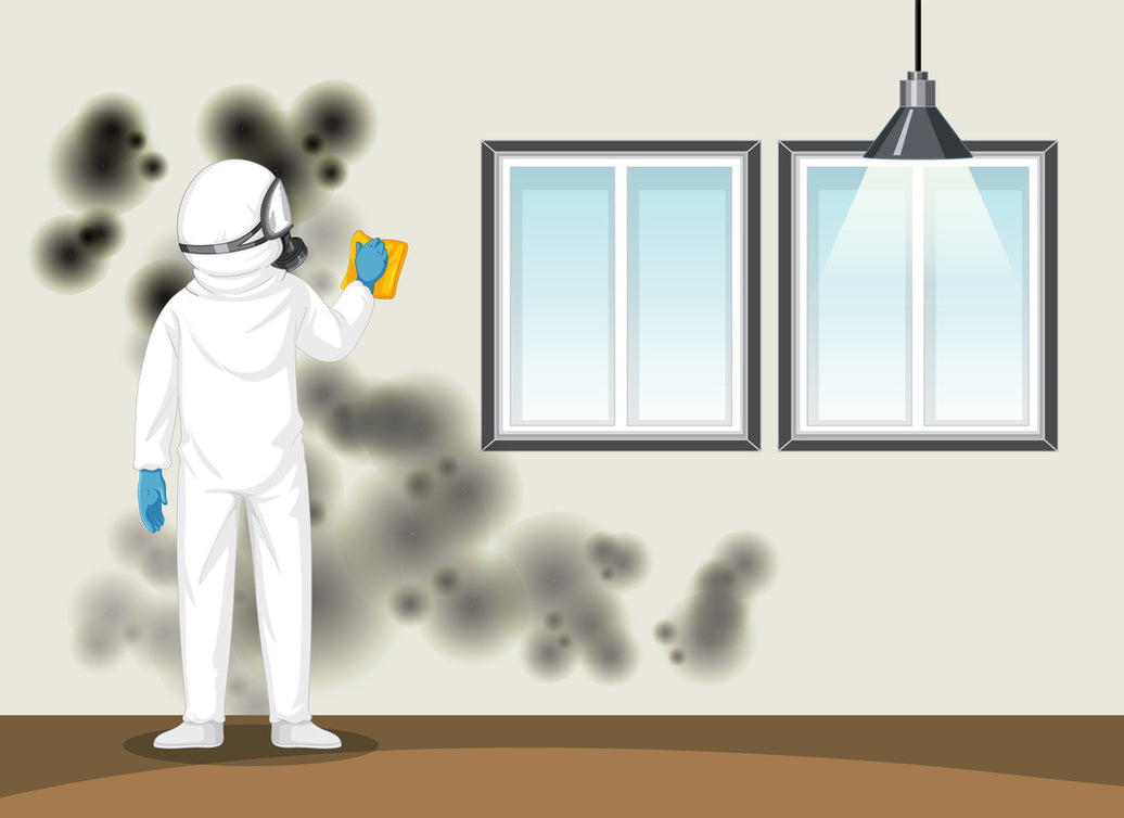 Mold at House