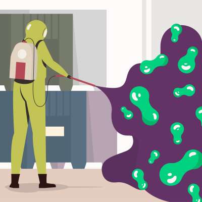 Understanding the Dangers of Toxic Mold in Your Home