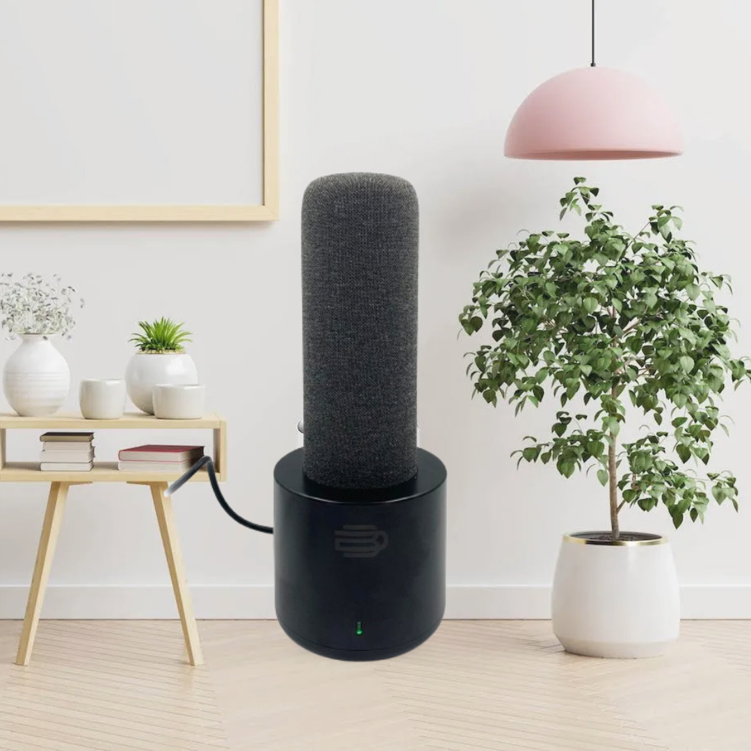 Best Places to Put Your Dehumidifier for Maximum Efficiency DryBox MY