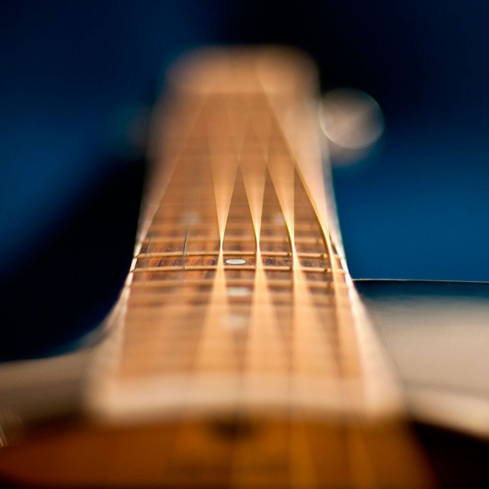 Guitar and Violin Dry Cabinet