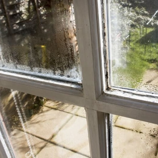 Understanding Humidity: How It Forms, Increases, and Affects Your Environment