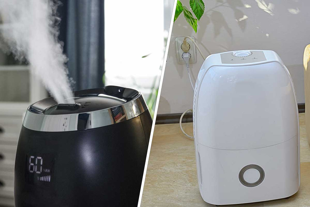 Humidifier or Dehumidifier: Which Moisture Master is Right for Your Home?