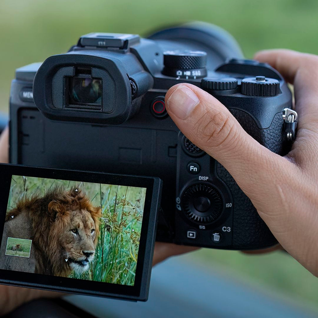 Do I Need a Dry Cabinet If I Only Own One Camera?