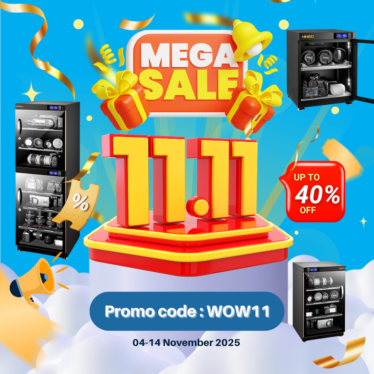 11.11 Mega Sales