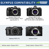 Olympus BLN-1 Single Battery