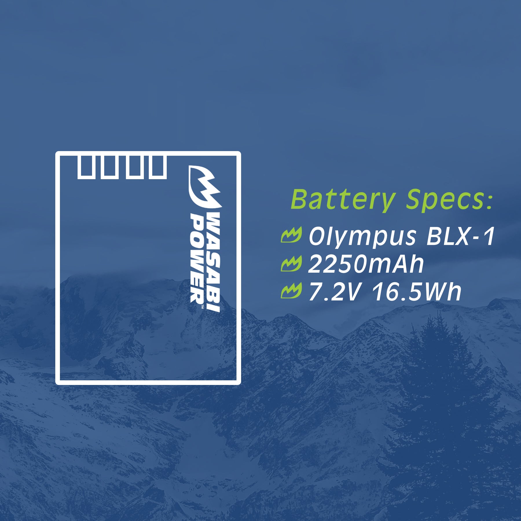 Olympus BLX-1 2 Batteries + Dual USB Charger