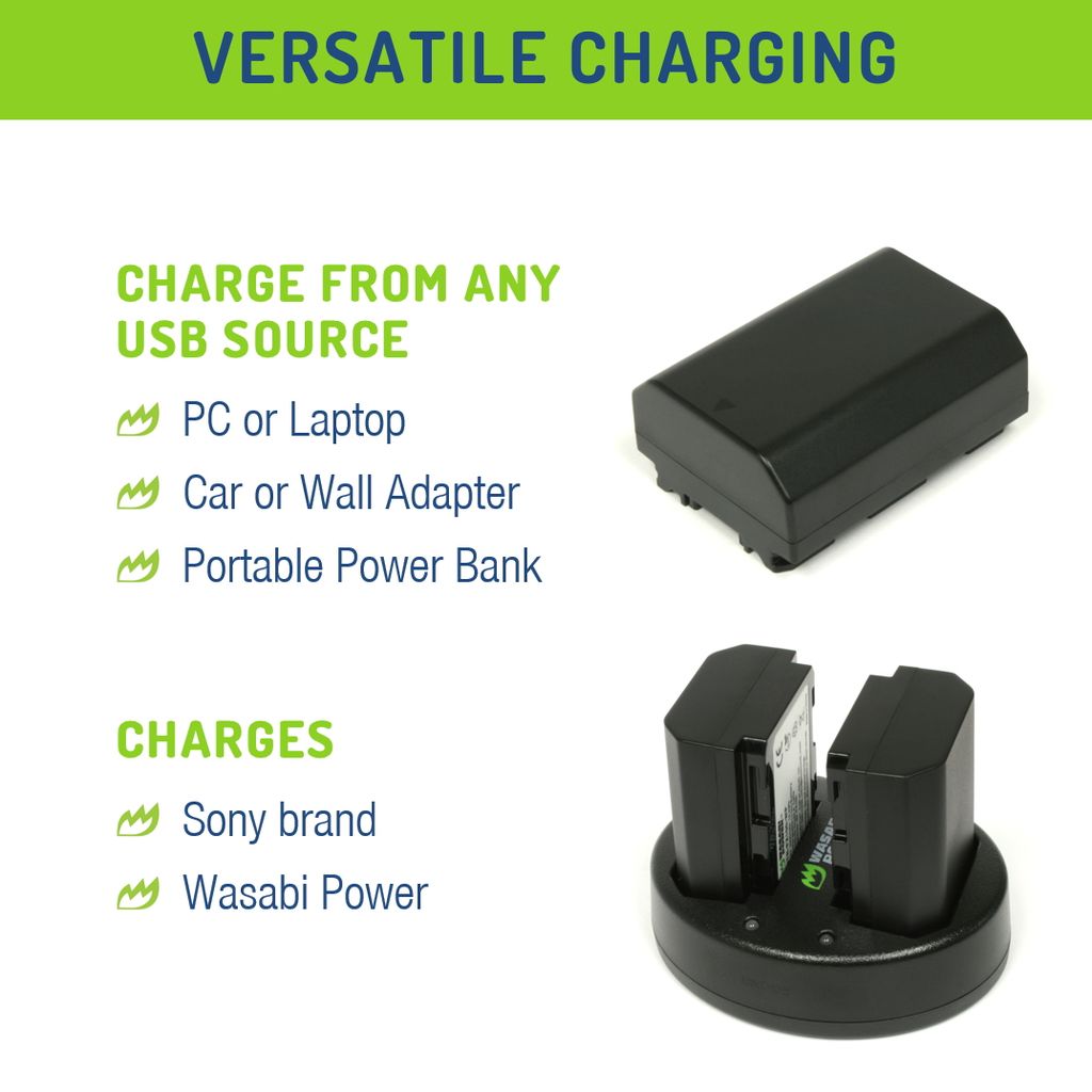 Sony NP-FZ100 2 Batteries + Dual USB Charger