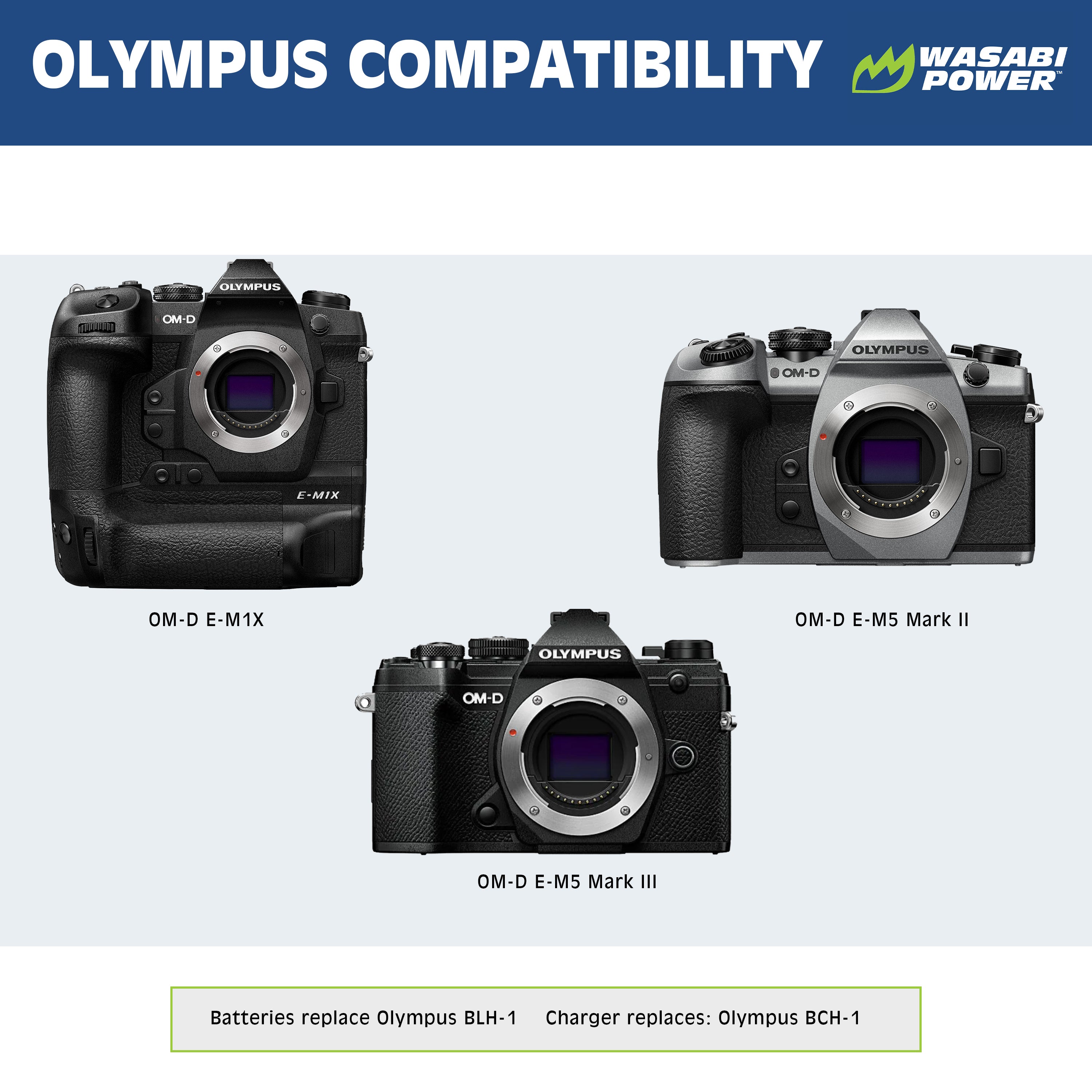 Olympus BLH-1 Single Battery (Fully Decoded)